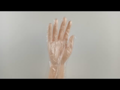 OEM 가벼운 오래가는 버릴 수 있는 폴리에틸렌 글러브 식품 Prep